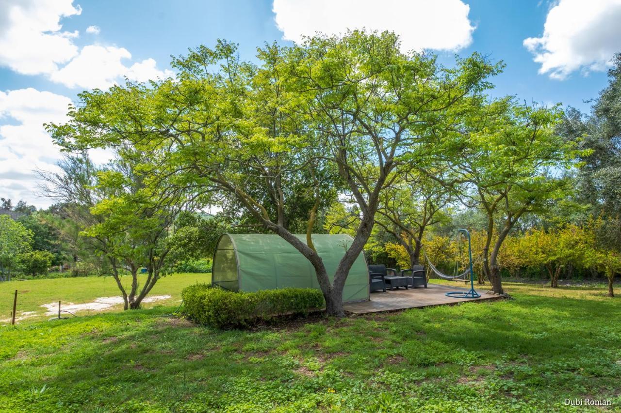 Amikam Meshek 81 משק 81 עמיקם Villa Ngoại thất bức ảnh