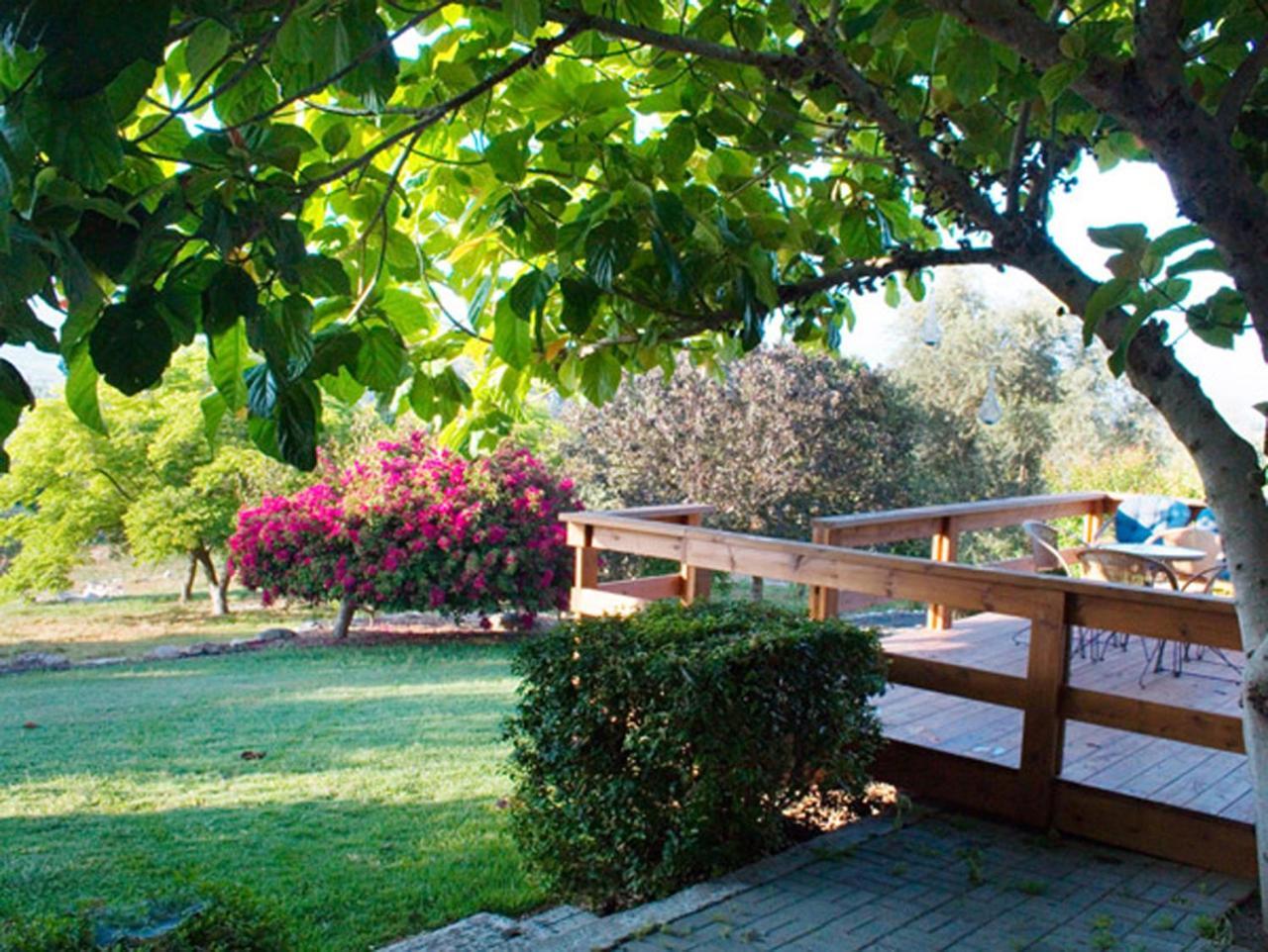 Amikam Meshek 81 משק 81 עמיקם Villa Ngoại thất bức ảnh